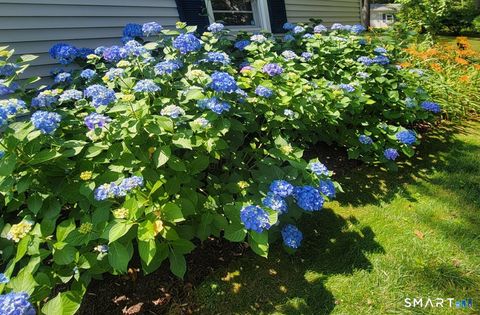 Tiny photo for 7 Old Forge Road, North Haven, CT 06473 (MLS # 24157487)