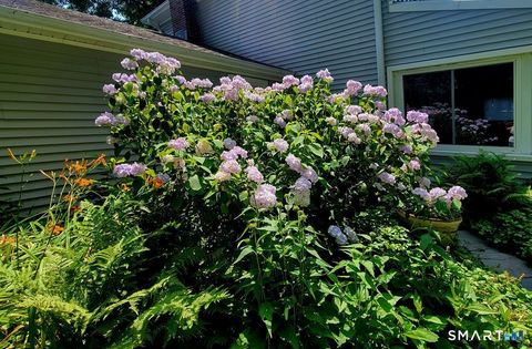 Tiny photo for 7 Old Forge Road, North Haven, CT 06473 (MLS # 24157487)