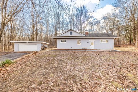 Photo of 461 Pond Road, Franklin, CT 06254 (MLS # 24149424)