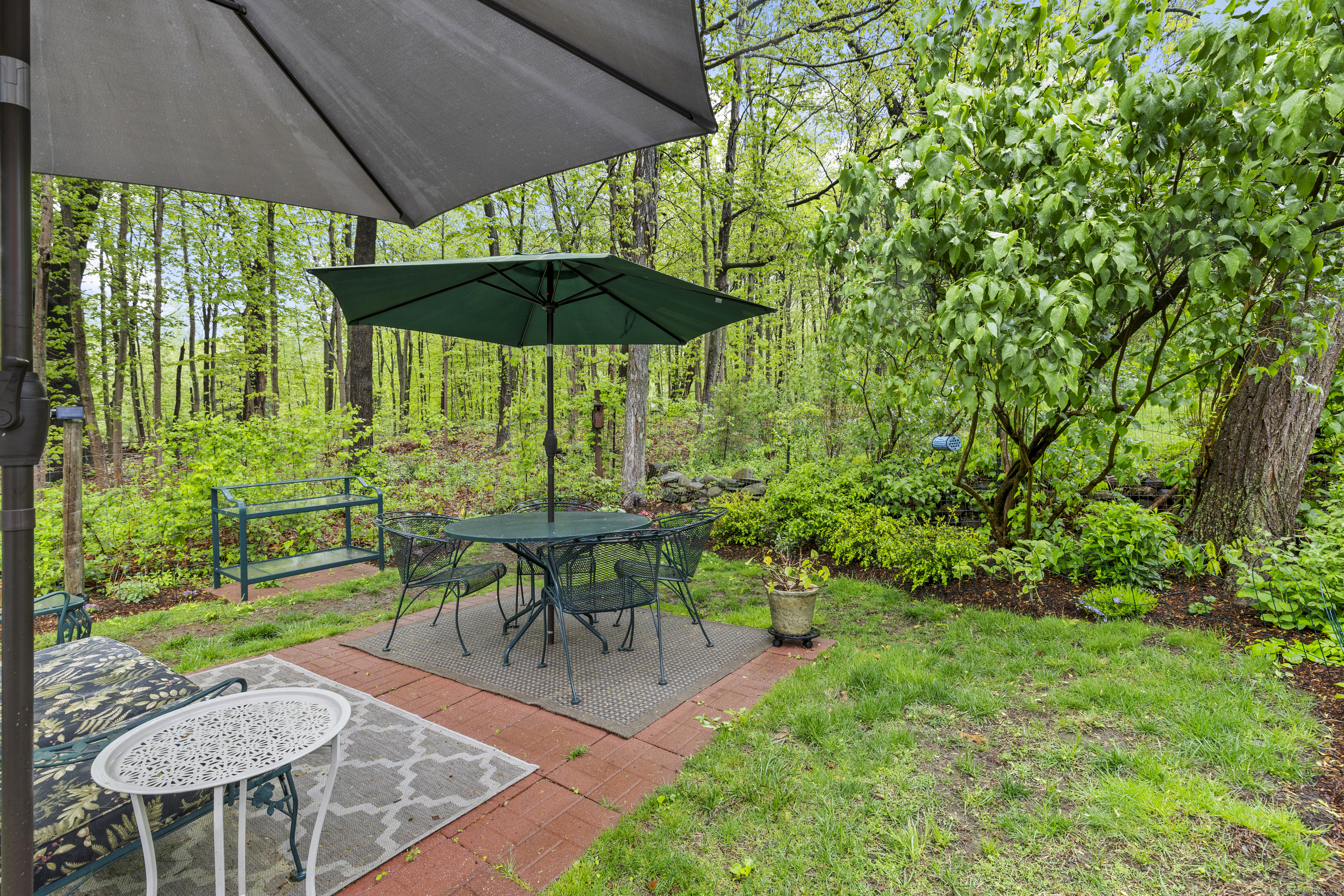 7 Budney Hill Road, Essex, Connecticut image 33