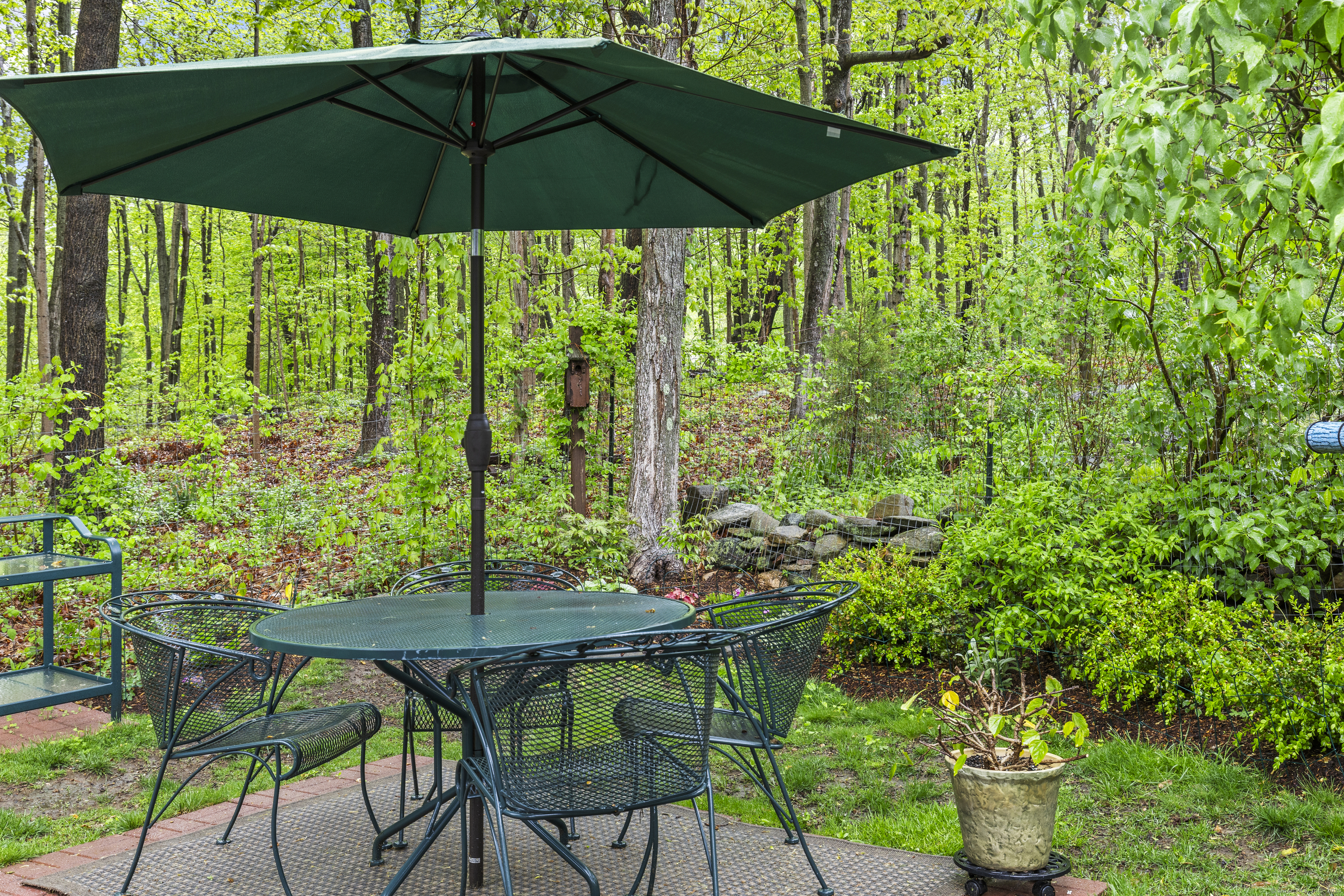 7 Budney Hill Road, Essex, Connecticut image 34