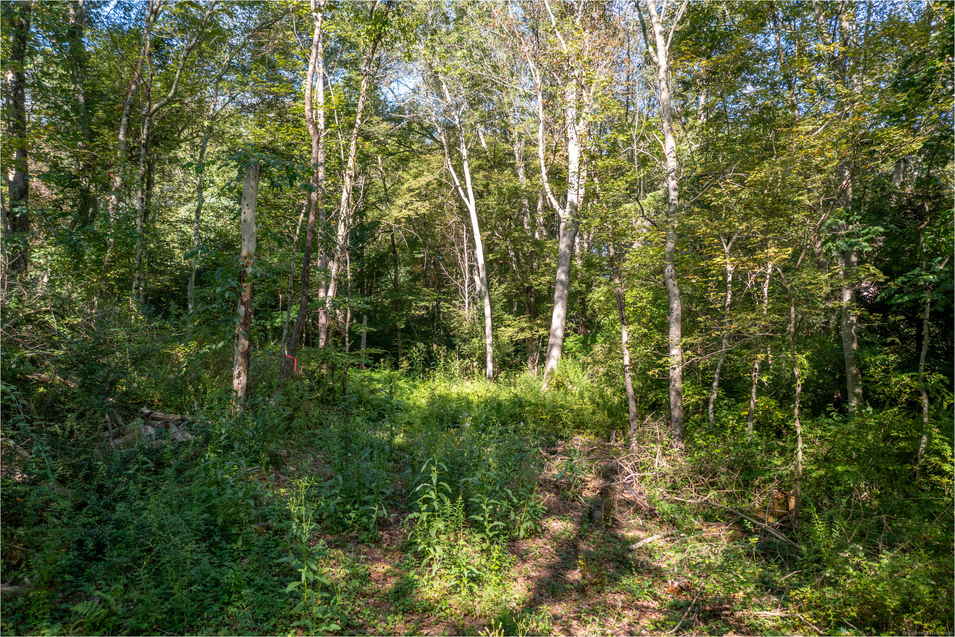 Bennett Pond Road