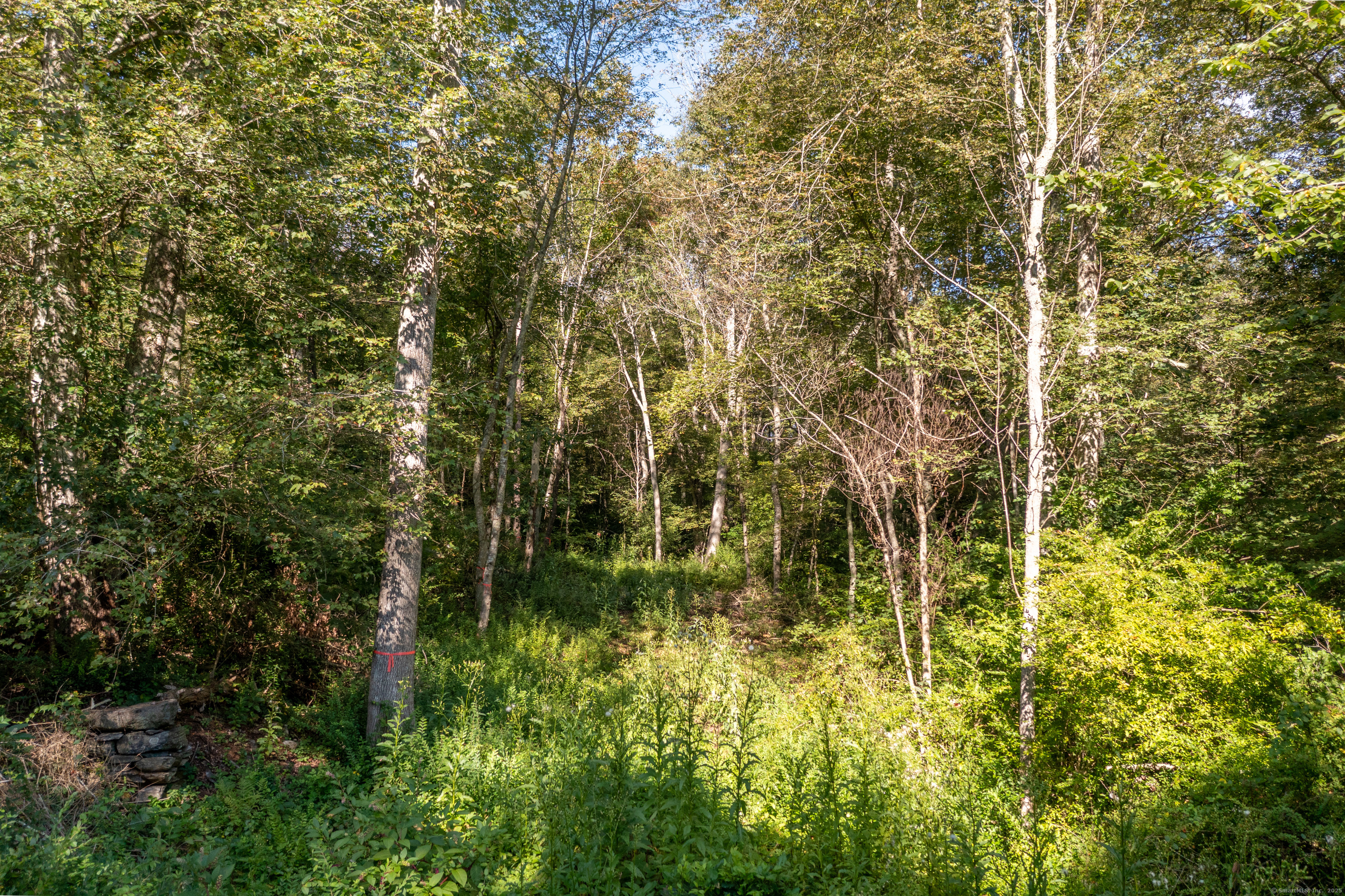 Bennett Pond Road