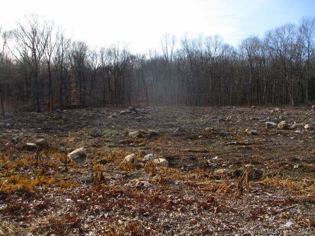 54 Northrop Road, Woodbridge, Connecticut image 7