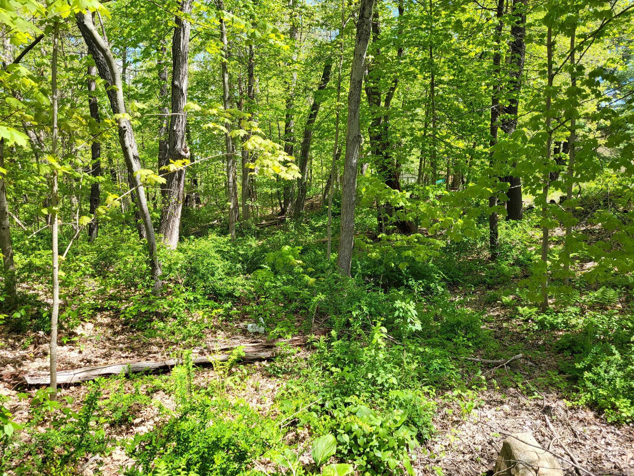 000 Conklin Rd Road, Stafford, Connecticut image 12