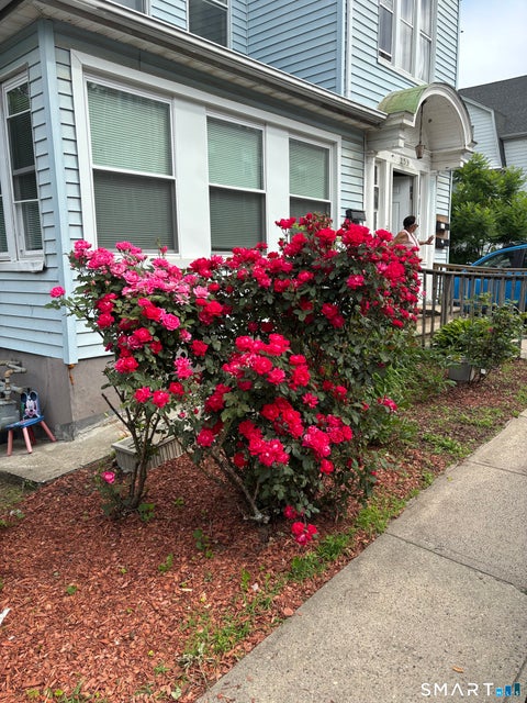 Tiny photo for 249 Lincoln Street, Waterbury, CT 06710 (MLS # 24183643)
