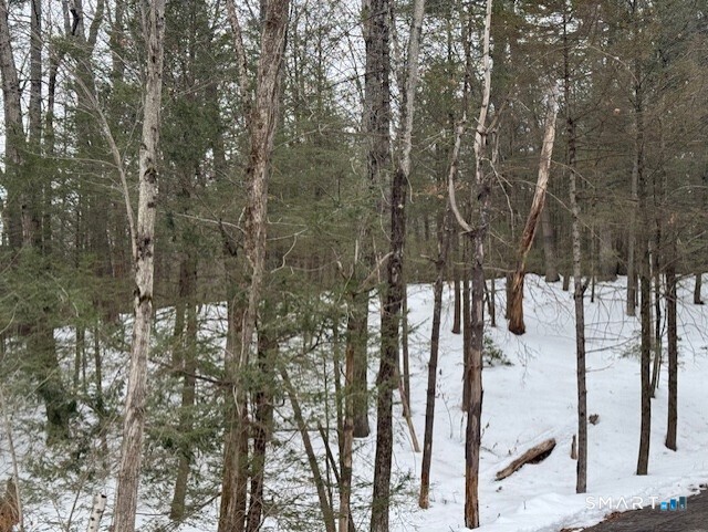 52 Shingle Mill Road