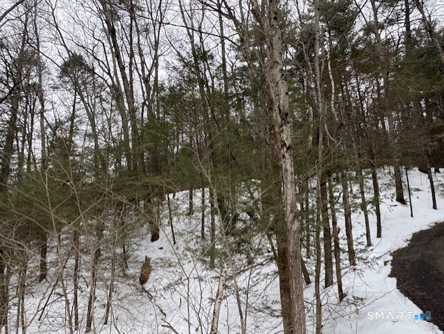 52 Shingle Mill Road