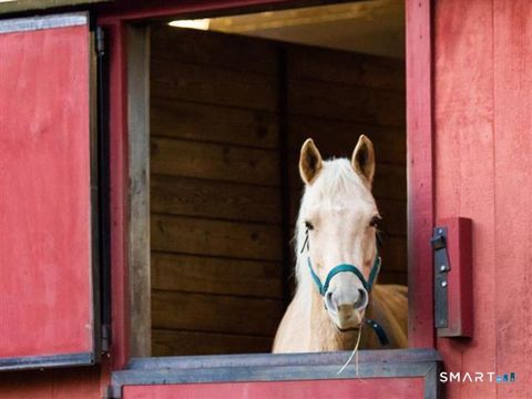 Tiny photo for 25 English Drive, Wilton, CT 06897 (MLS # 24167923)