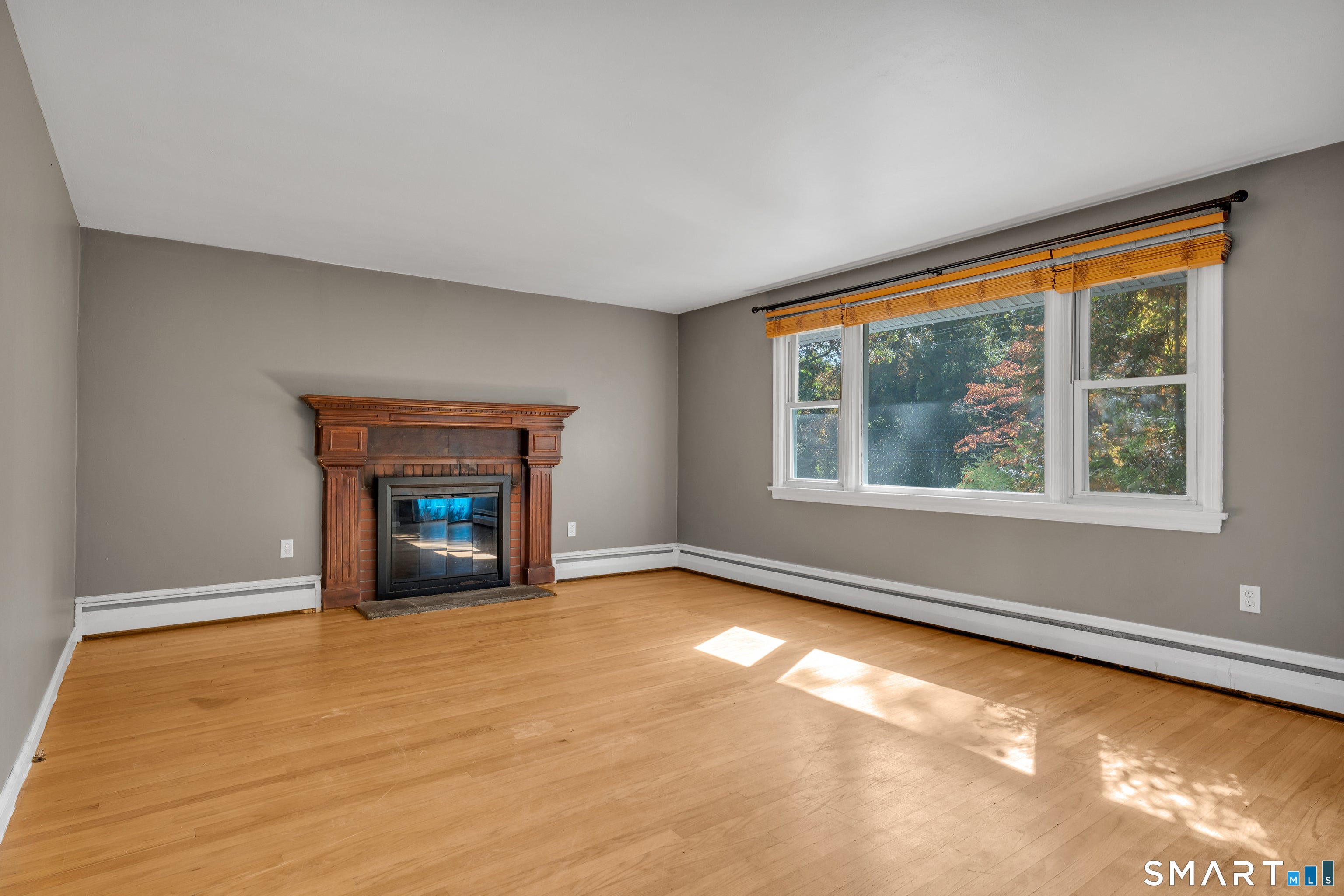 561 Old Colchester Road