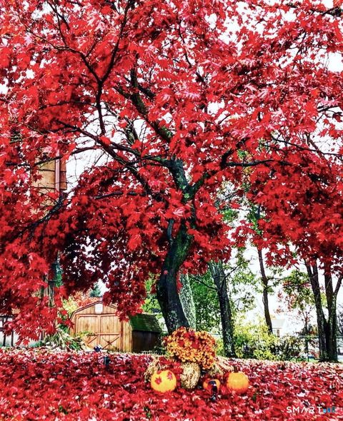 Tiny photo for 100 Spice Hill Drive, Meriden, CT 06451 (MLS # 24153263)