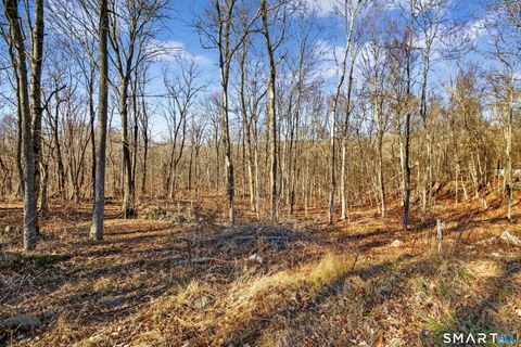 Tiny photo for 45 Benton Hill Road, Griswold, CT 06351 (MLS # 24145117)