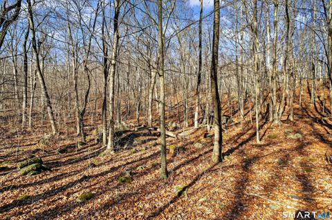 Tiny photo for 45 Benton Hill Road, Griswold, CT 06351 (MLS # 24145117)