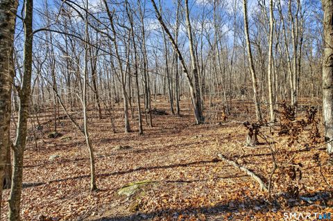 Tiny photo for 45 Benton Hill Road, Griswold, CT 06351 (MLS # 24145117)