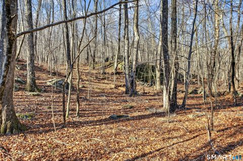 Tiny photo for 45 Benton Hill Road, Griswold, CT 06351 (MLS # 24145117)