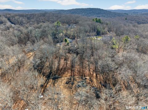 Photo of 45 Benton Hill Road, Griswold, CT 06351 (MLS # 24145117)