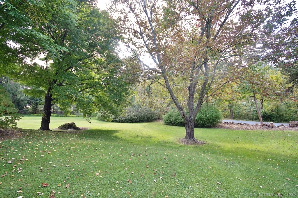 2 Tamshell Drive