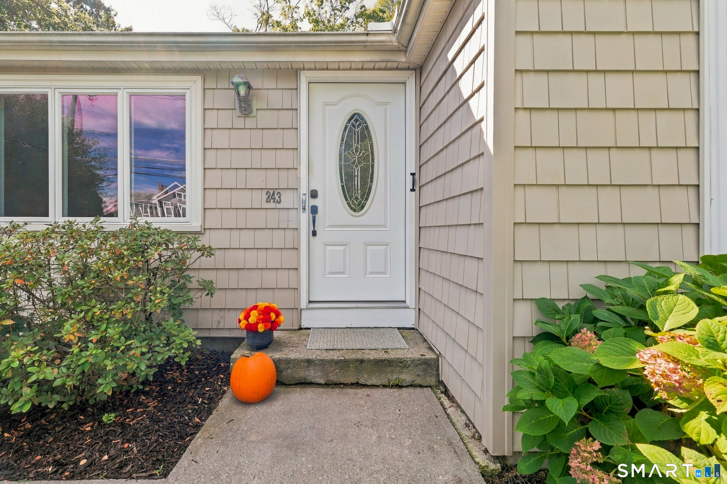 243 Elm Street