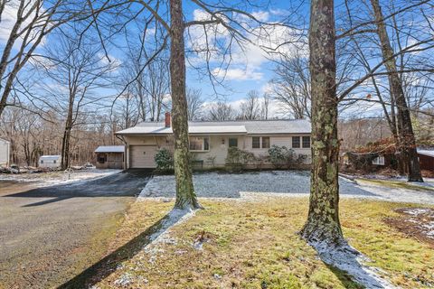 Photo of 123 W High Street, East Hampton, CT 06424 (MLS # 24143392)