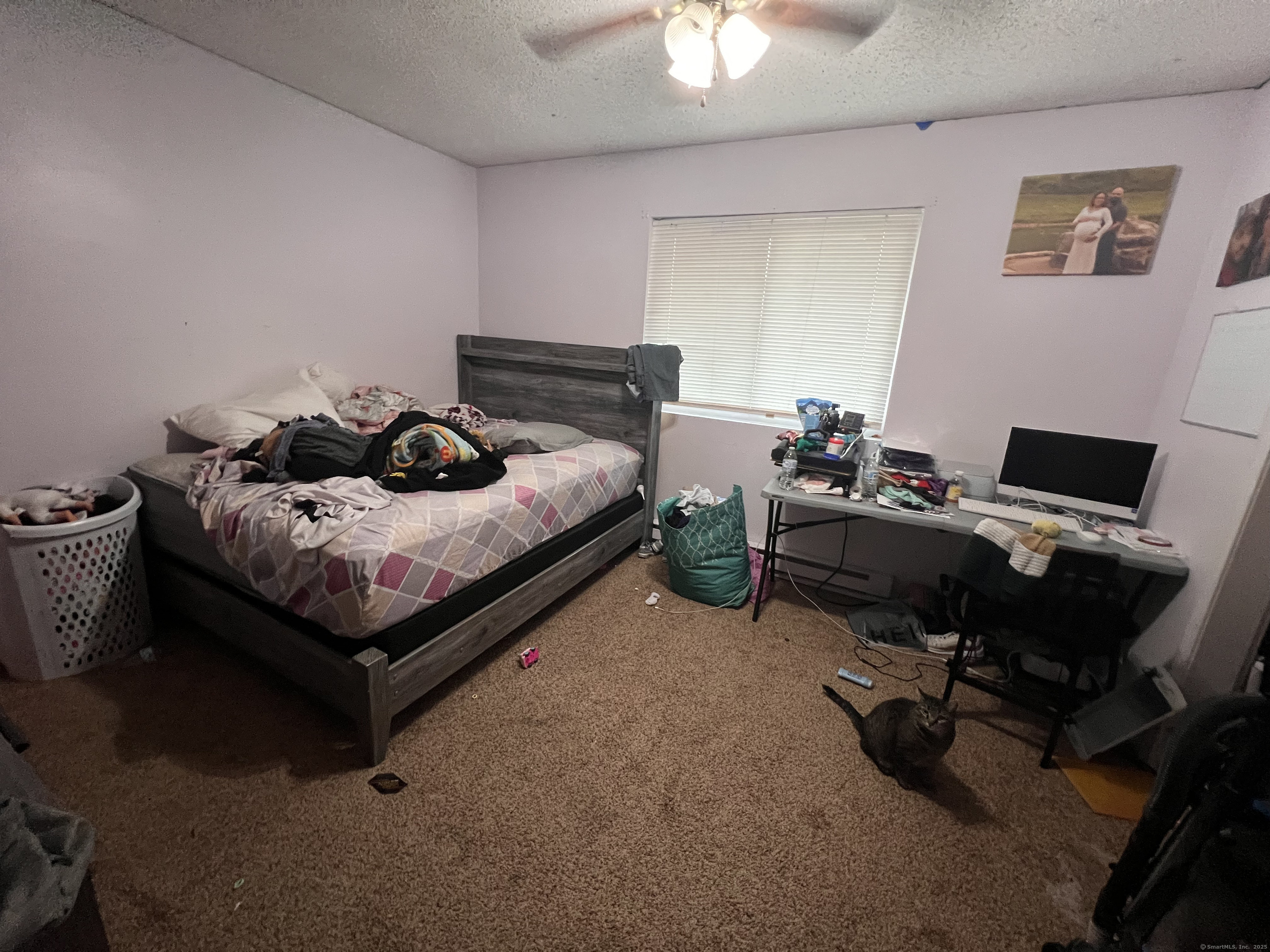 396 Waterville Street #2, Waterbury, Connecticut image 6