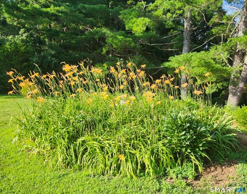 Tiny photo for 10 Elizabeth Lane, Windham, CT 06256 (MLS # 24164739)