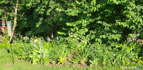 Tiny photo for 10 Elizabeth Lane, Windham, CT 06256 (MLS # 24164739)