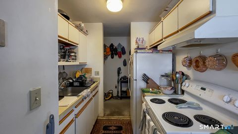 Tiny photo for 51 Wildman Street #A305, Danbury, CT 06810 (MLS # 24156675)