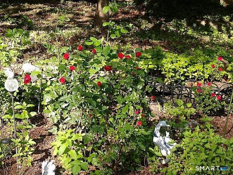 Tiny photo for 17 Route 6, Columbia, CT 06237 (MLS # 24157016)