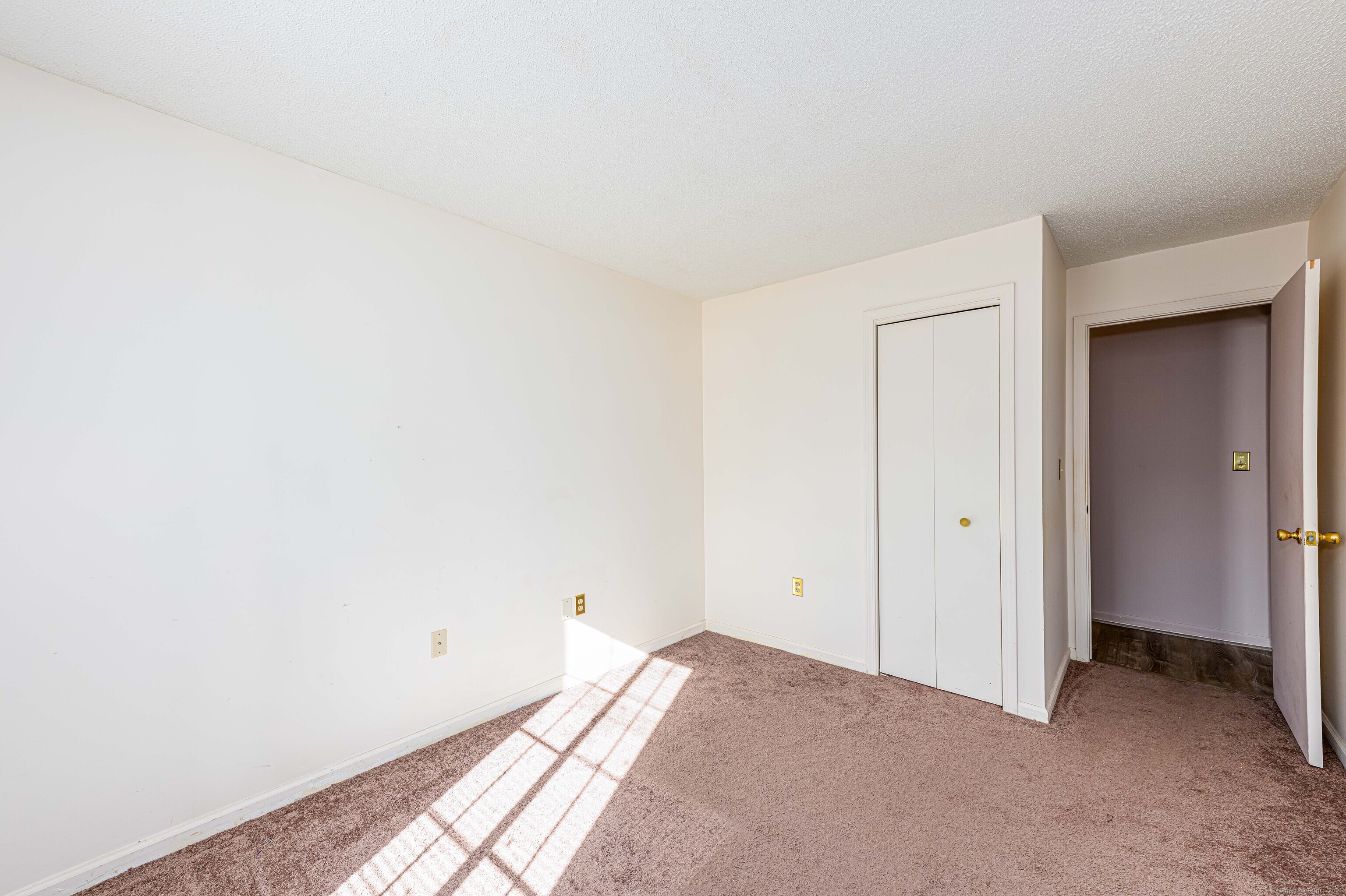 365 Mather Street #APT 126, Hamden, Connecticut image 22