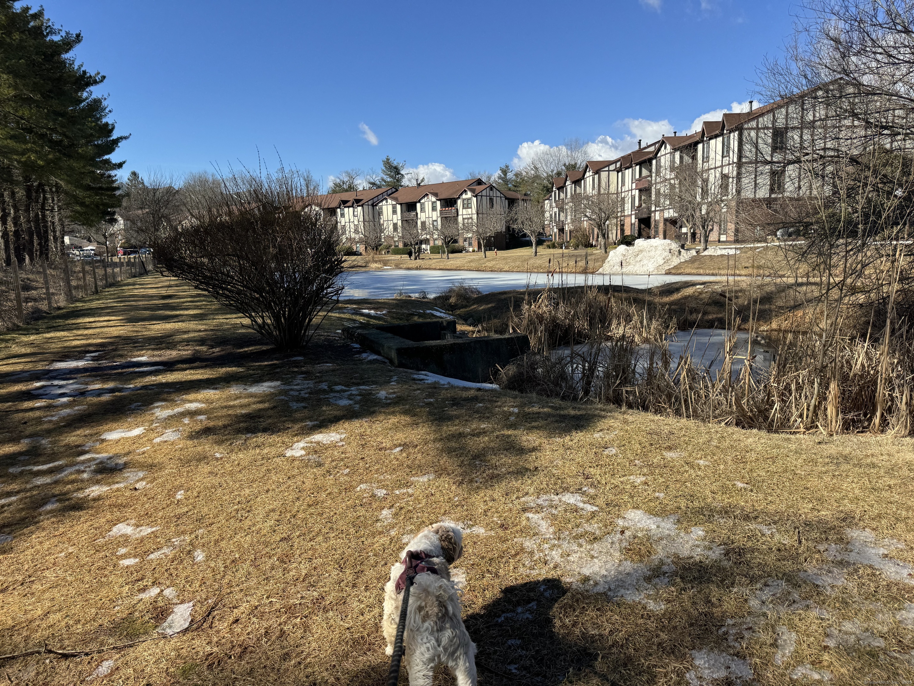 365 Mather Street #APT 126, Hamden, Connecticut image 37