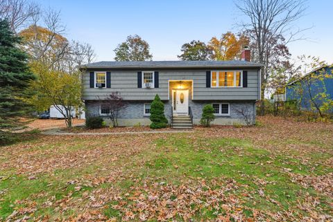 Photo of 194 Maple Hill Road, Naugatuck, CT 06770 (MLS # 24137425)
