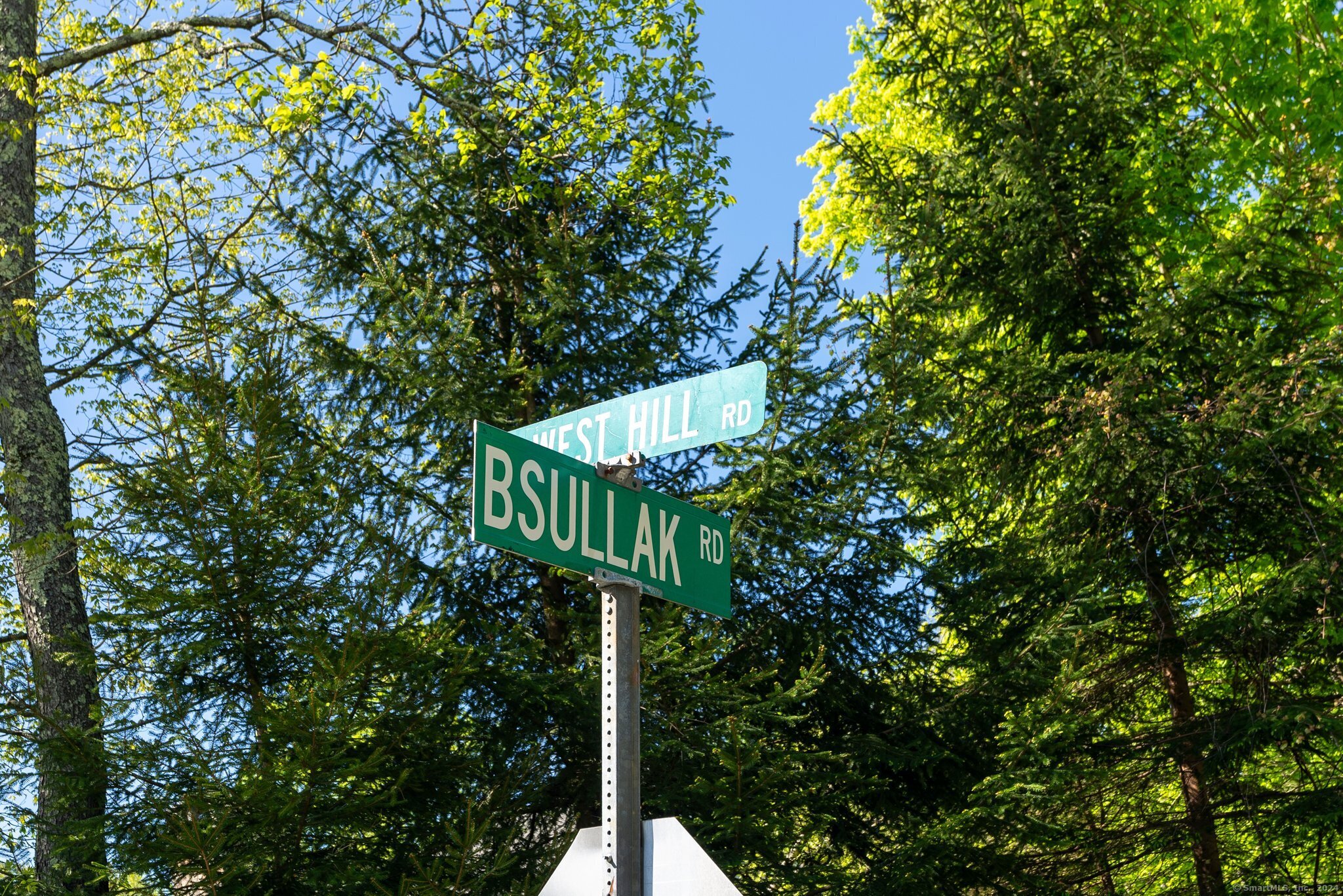 Photo 1 of Bsullak Road, Barkhamsted, Connecticut, $450,000, Web #: 24023706