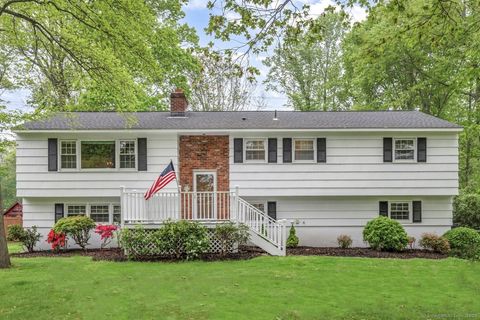 325 Pine Tree Drive Orange CT 06477