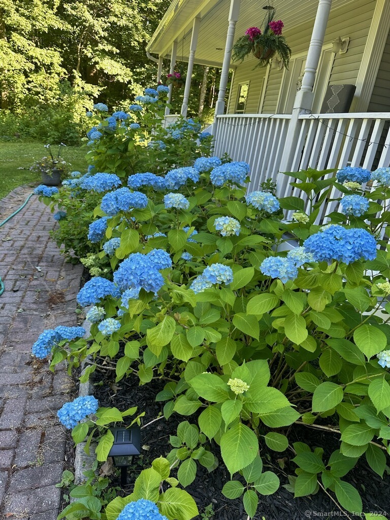 Watertown, Connecticut 06795, United States, 4 Bedrooms Bedrooms, ,3 BathroomsBathrooms,Residential,Pending,26311