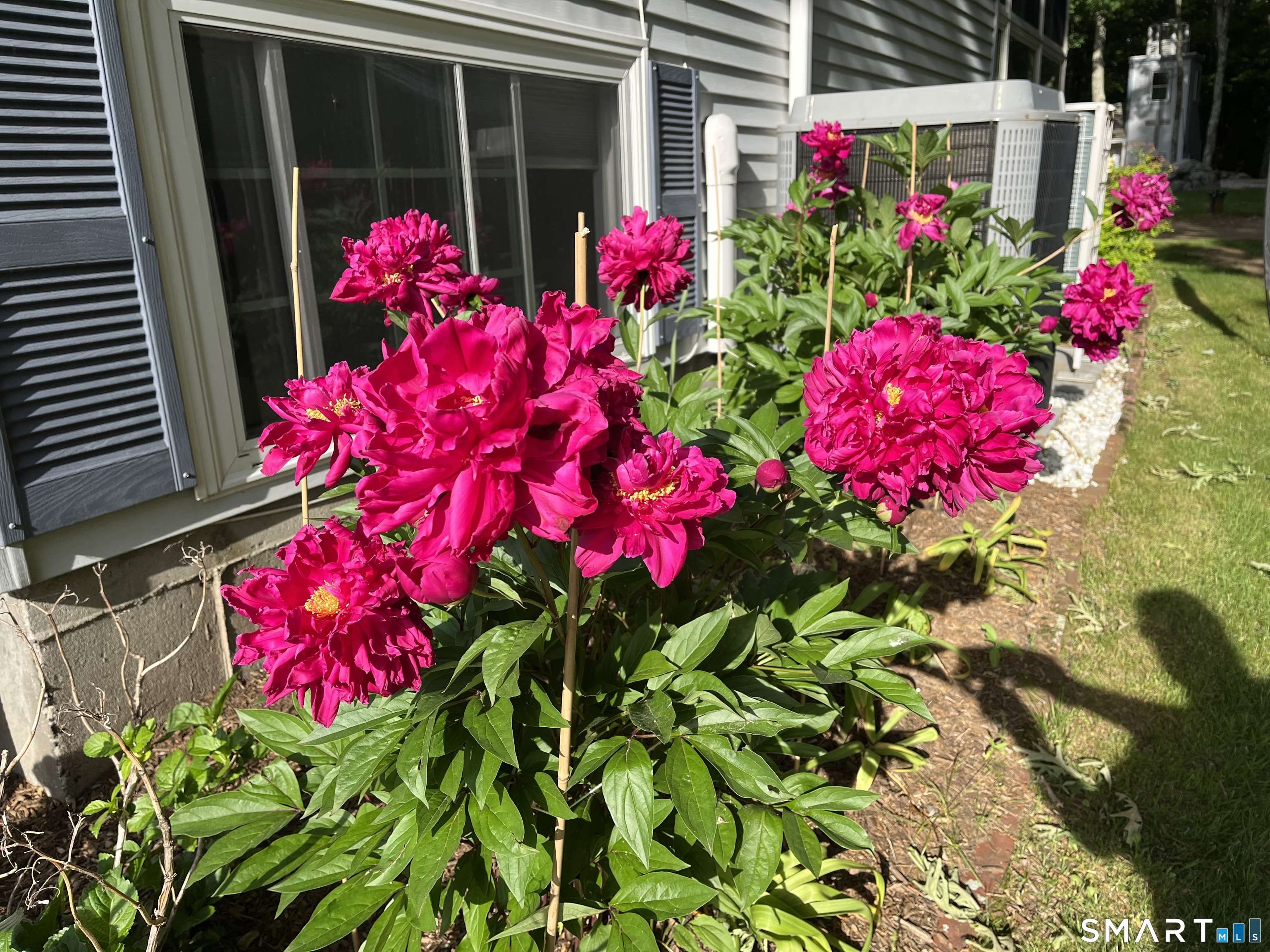 63 Straitsville Road