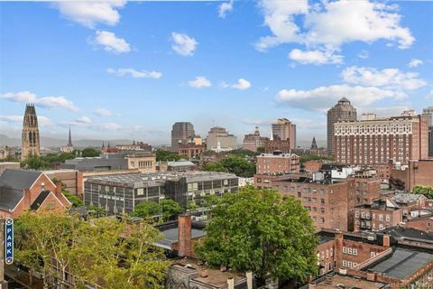 100 York Street 9C New Haven CT 06511