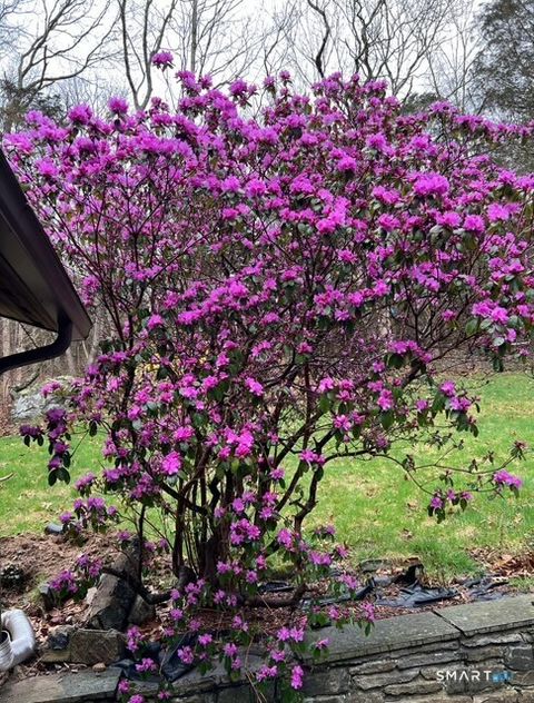 Tiny photo for 110 Town Woods Road, Lyme, CT 06371 (MLS # 24164753)