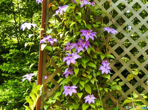 Tiny photo for 208 Cascade Road, Stamford, CT 06903 (MLS # 24159984)