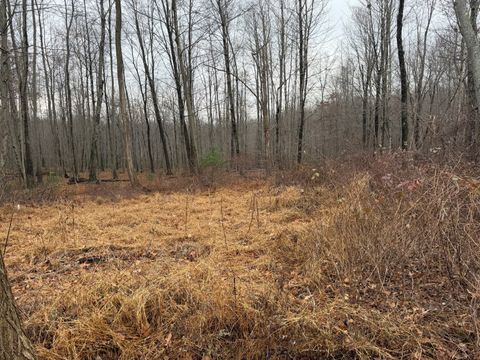 Photo of 312 Merrow Road, Tolland, CT 06084 (MLS # 24142381)