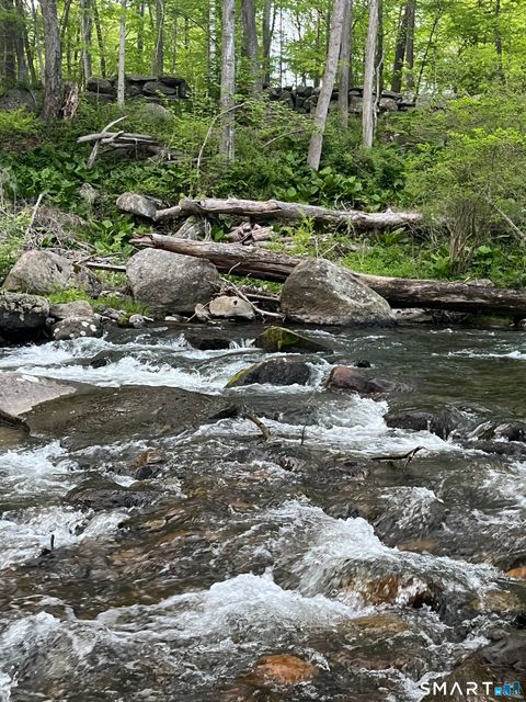 Tiny photo for 21 Old Mill Road, New Milford, CT 06776 (MLS # 24160956)