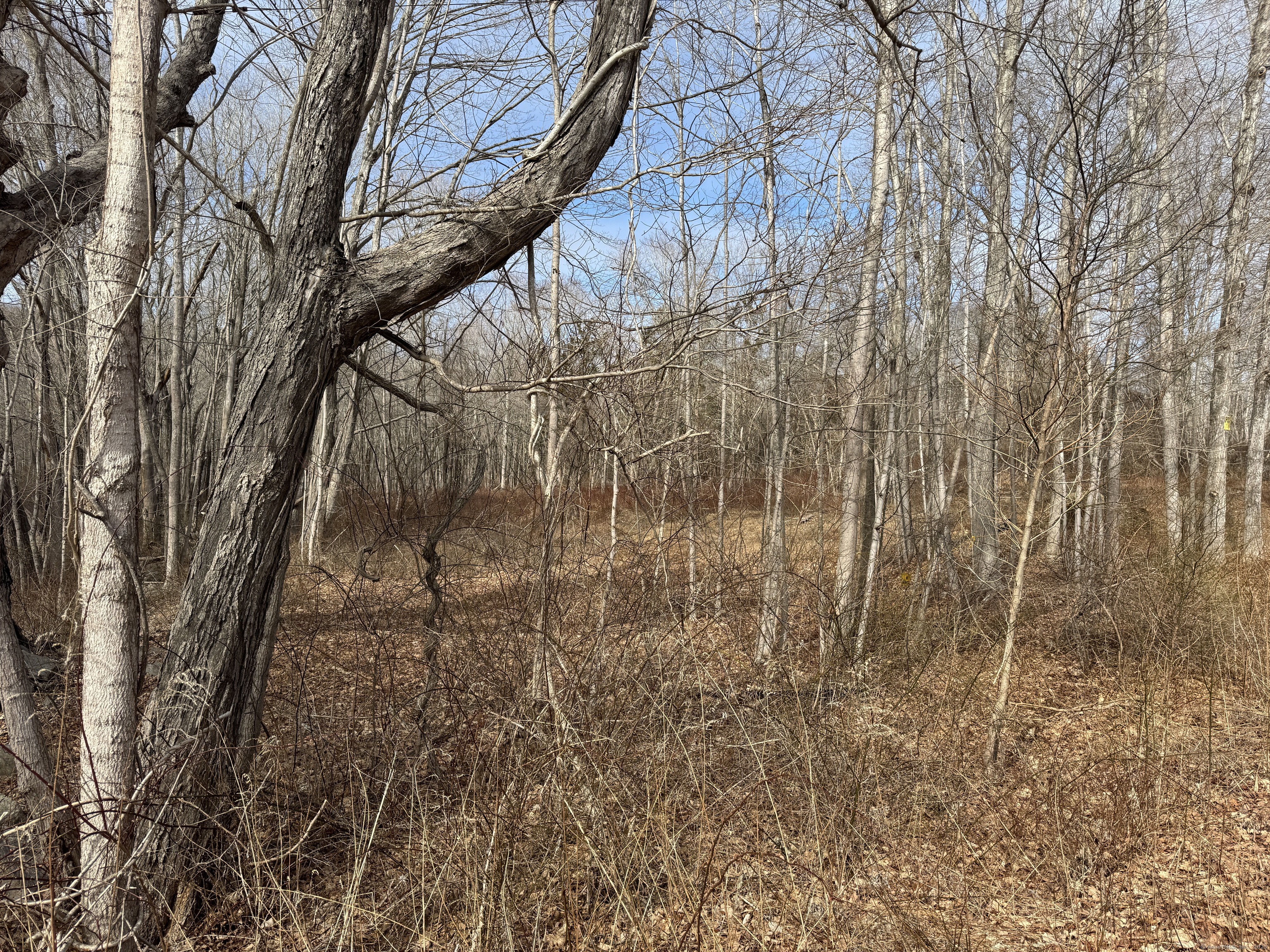 Grassy Hill Road, East Lyme, Connecticut image 4