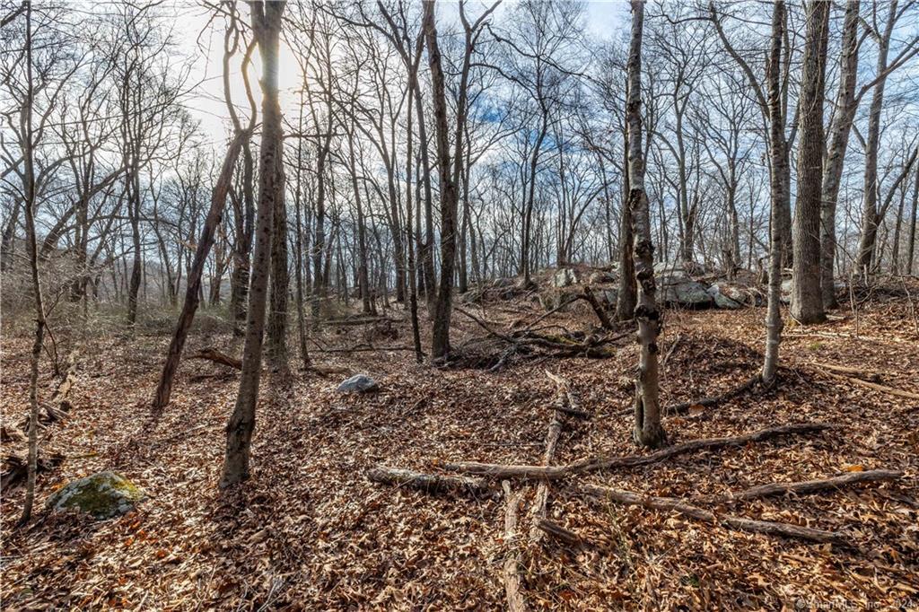382 Middlesex Turnpike, Old Saybrook, Connecticut image 5