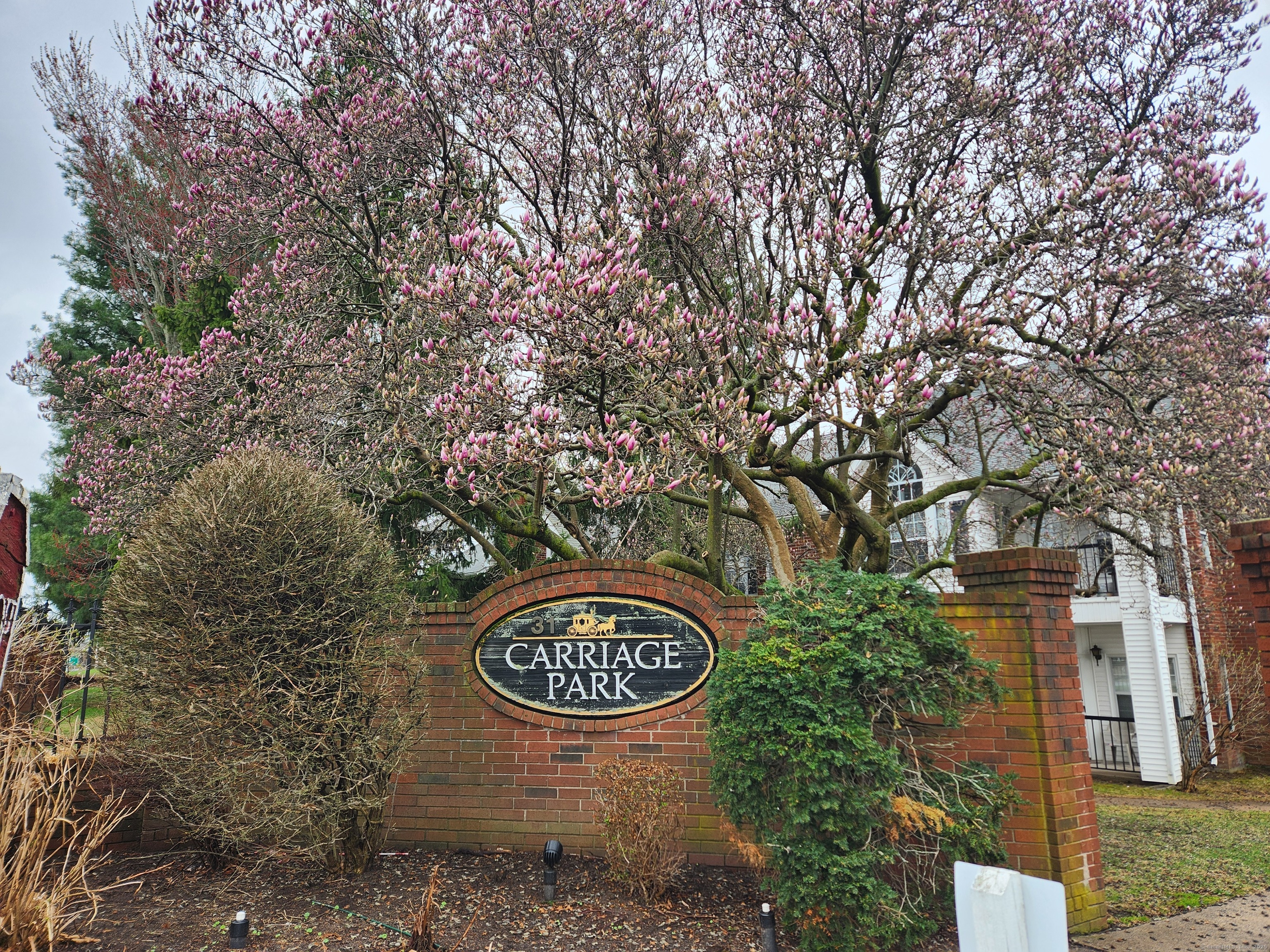 31 High Street #3203, East Hartford, Connecticut image 2