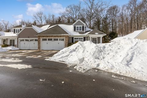 Tiny photo for 9 Lakeview Rise #9, Beacon Falls, CT 06403 (MLS # 24150590)