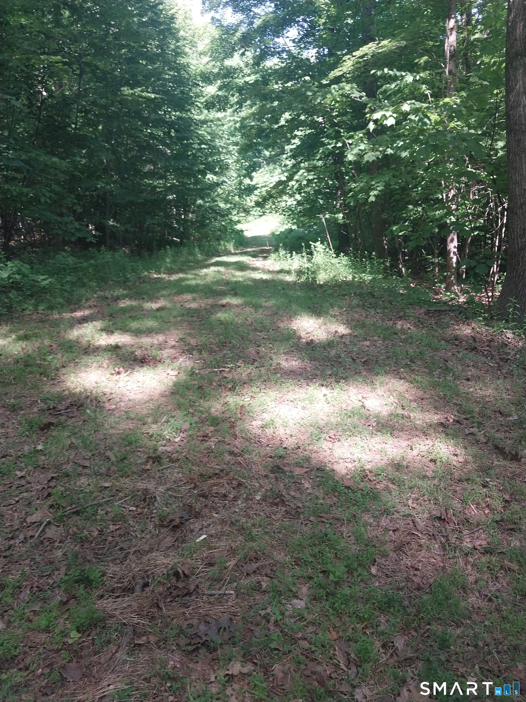 Mount Mauwee Road