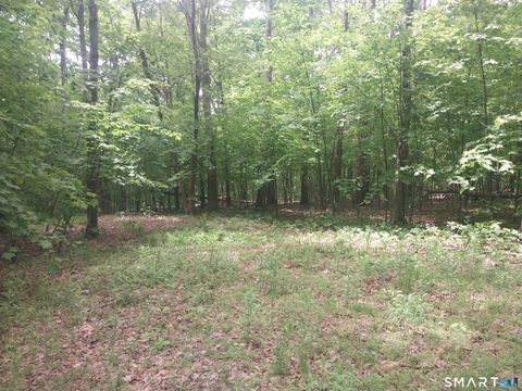 Photo of Mount Mauwee Road, Kent, CT 06757 (MLS # 24179753)