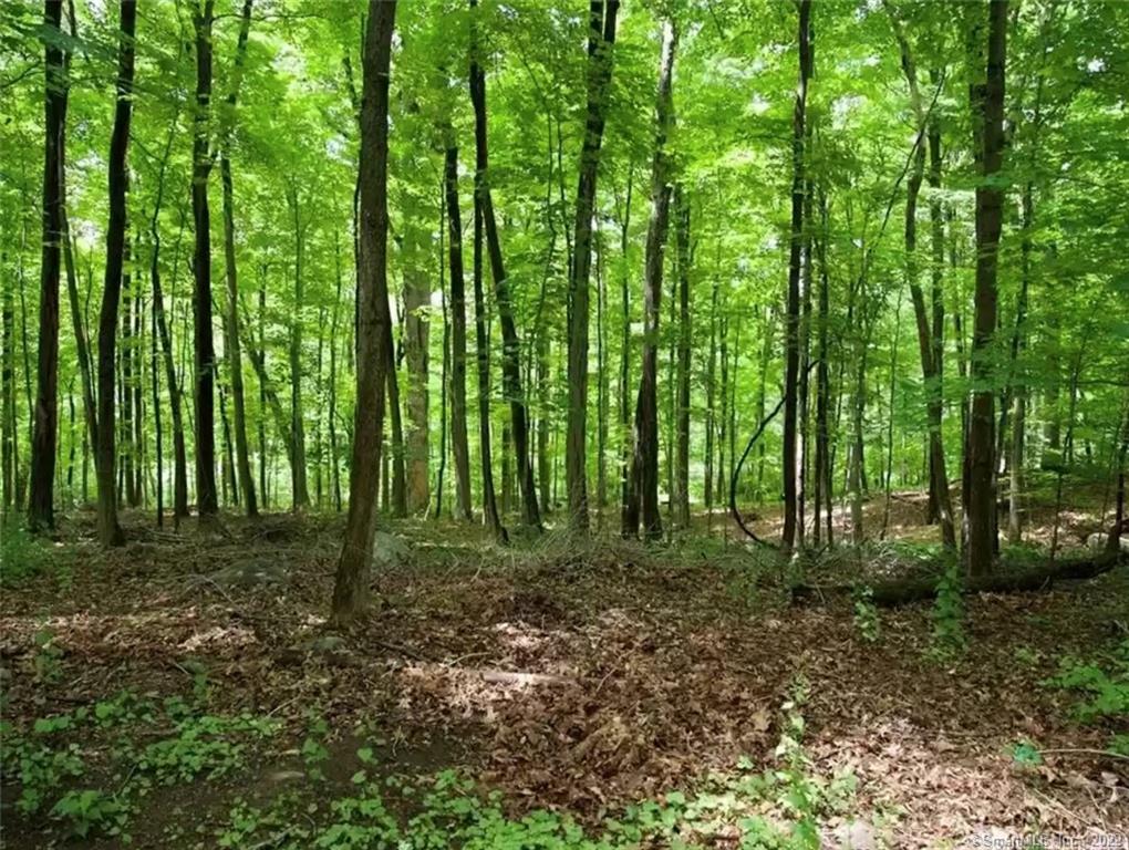 Mountain Road, Wilton, Connecticut image 3