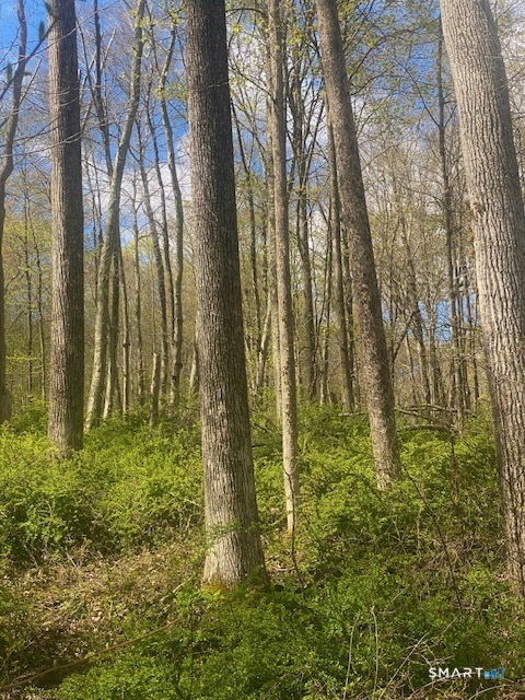 0 Clark Hill Road