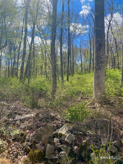 0 Clark Hill Road