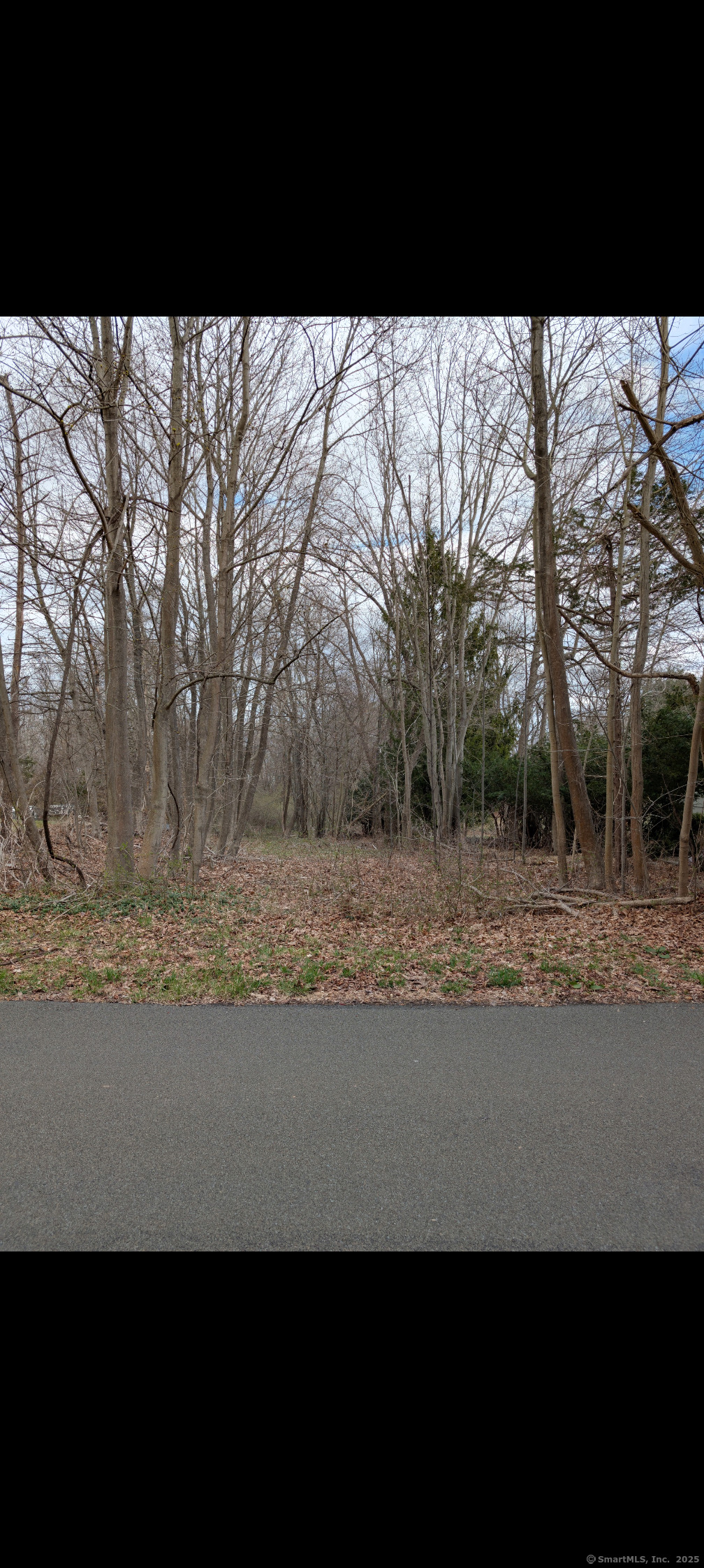 80 West Street, Middlefield, Connecticut image 1